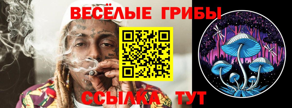 Галлюциногенные грибы MAGIC MUSHROOMS Вичуга