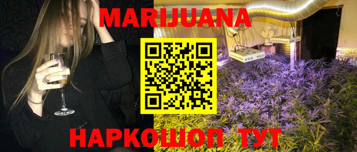 Конопля гибрид Вичуга